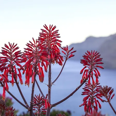 Esperas 4* Oia (Santorini)